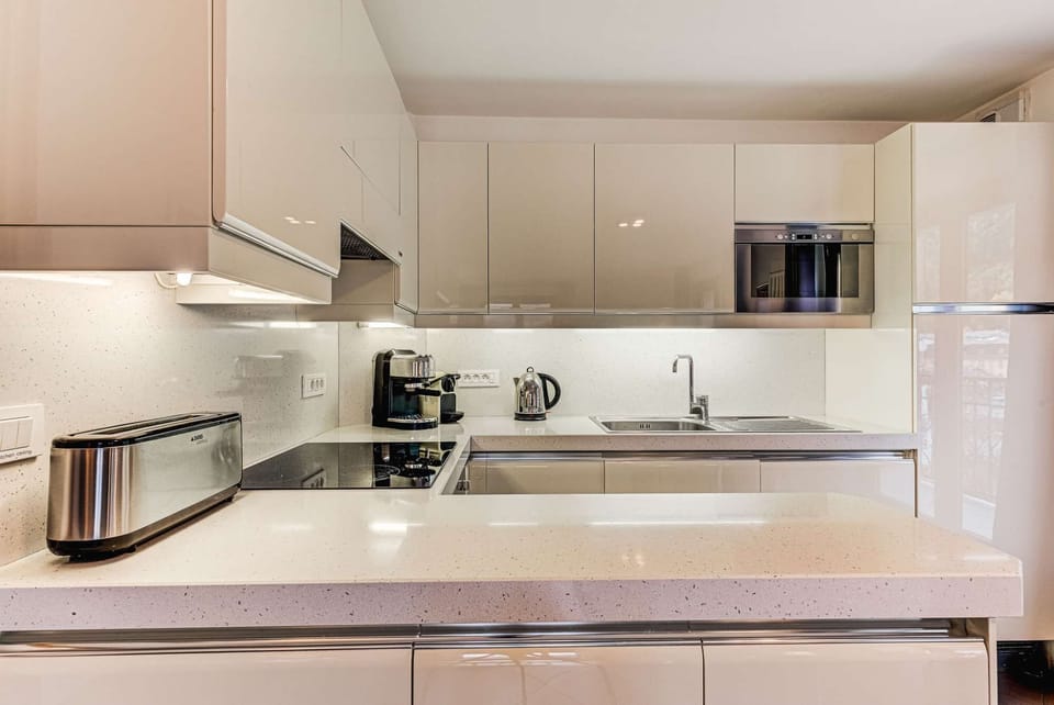 Alpes IV kitchen area