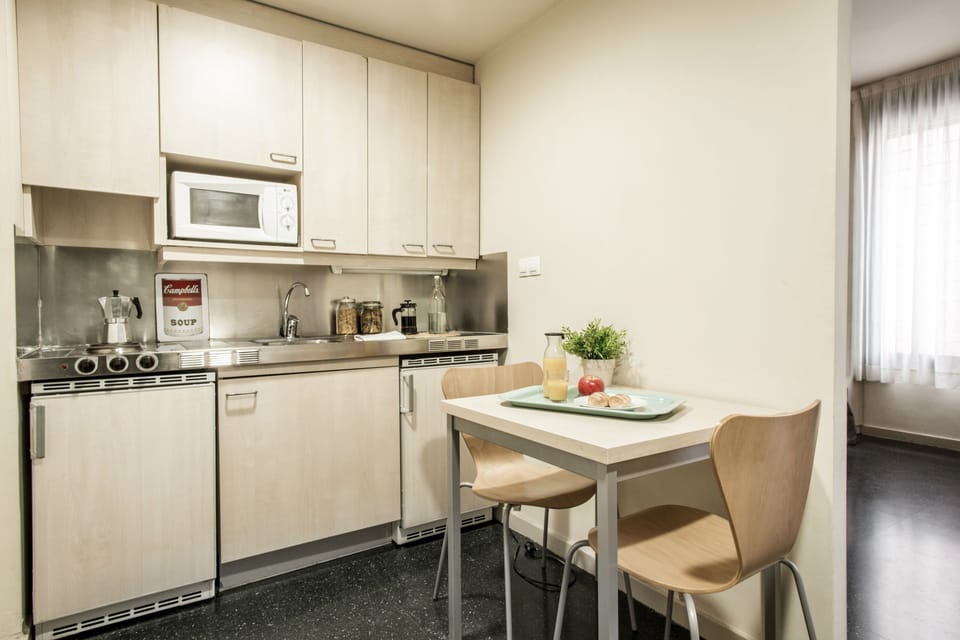 Classic double studio | Private kitchenette | Fridge, microwave, stovetop