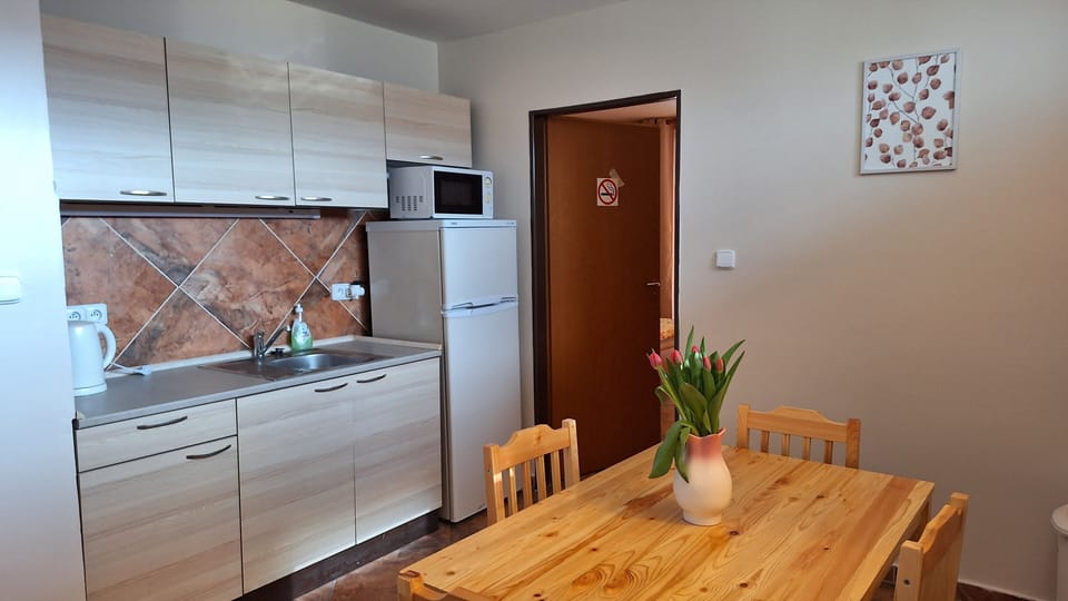 Superior Apartment (No.6) | Private kitchen | Fridge, microwave, stovetop, toaster