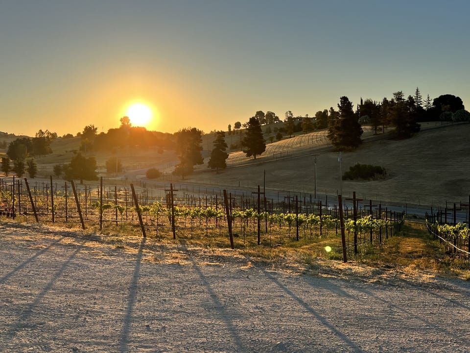 Enjoy the wine country weather