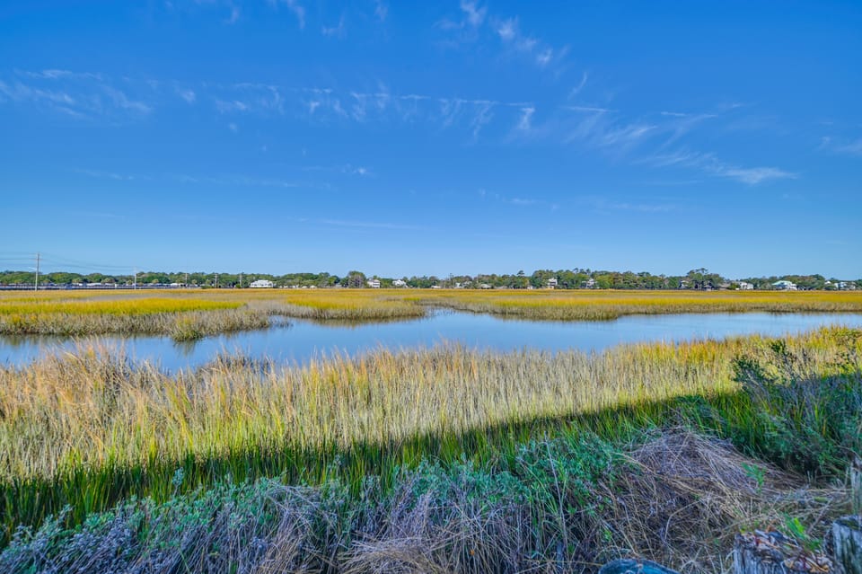 Marsh