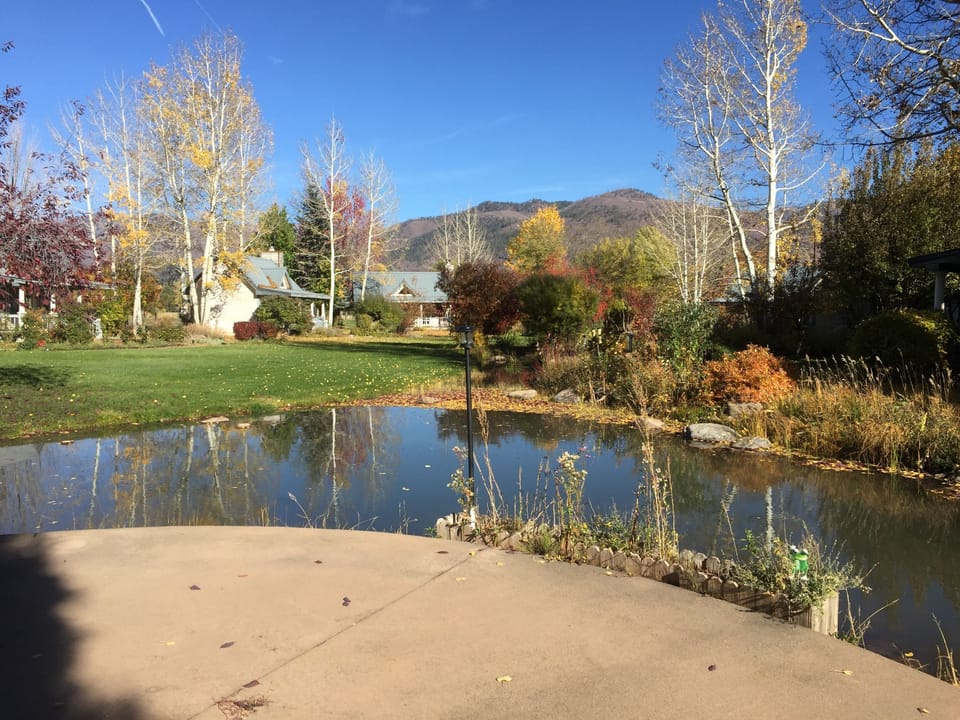 Comfort Cottage, Ensuite, Mountain View (Wolf River) | Garden