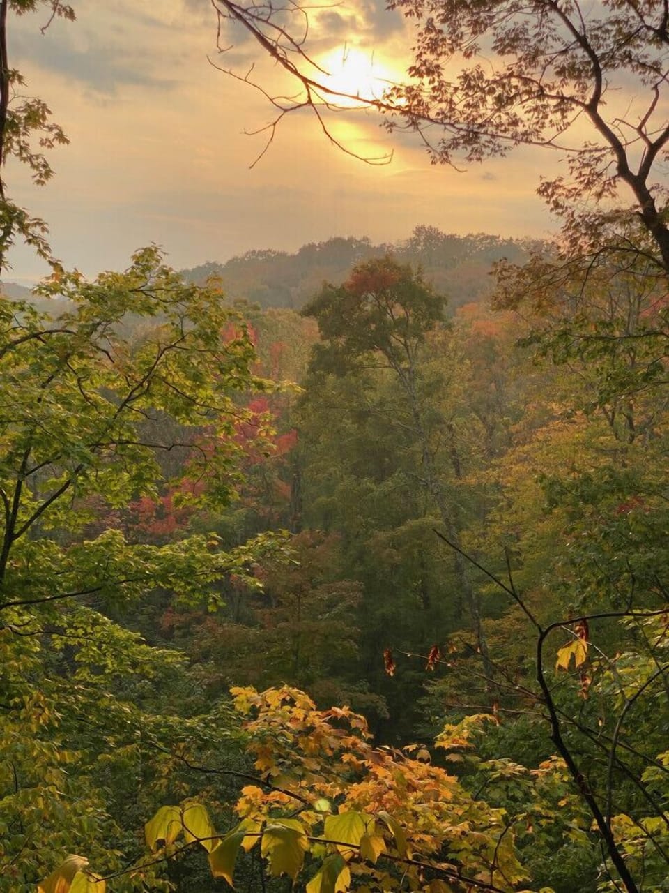 A view from our Lookout Point