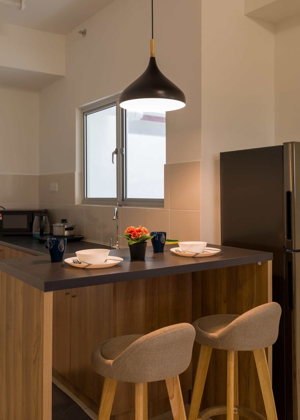 Fridge, microwave, dishwasher, electric kettle