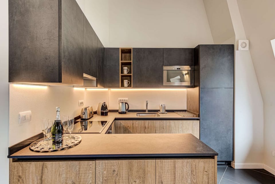 The modern fully equipped kitchen in apartment Alpes V