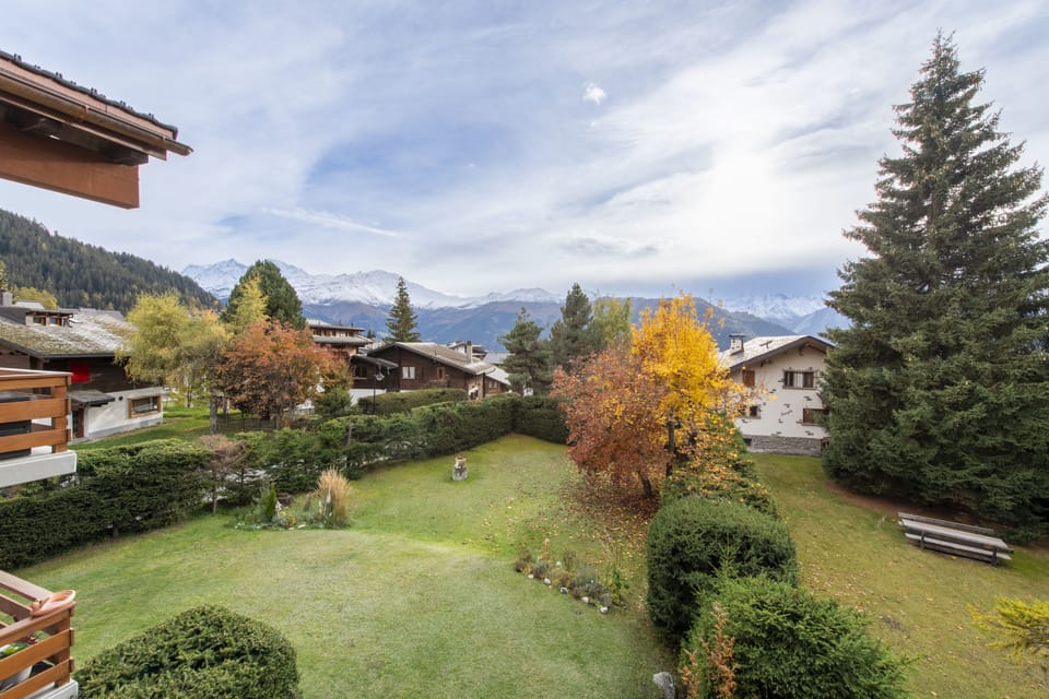 Clover Verbier view