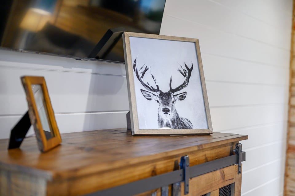 Deer Sighting!