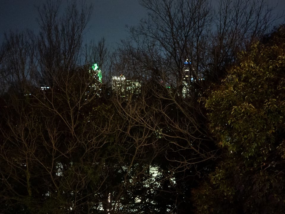 Downtown Raleigh Skyline View