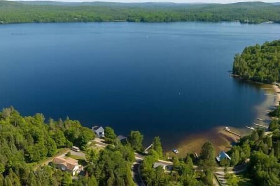 Aerial view of the lake 