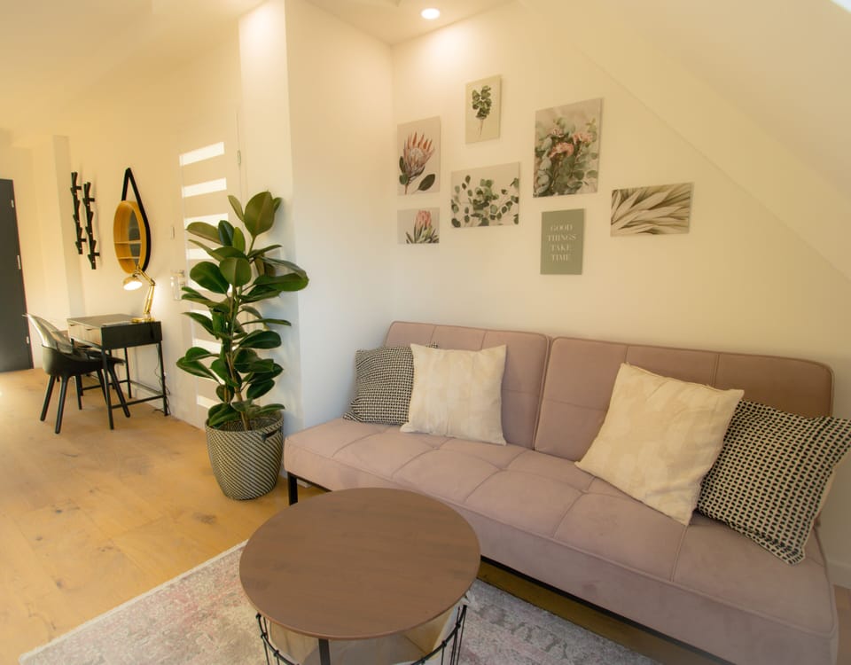 Deluxe Apartment | Living area | 45-inch Smart TV with digital channels, Netflix, heated floors