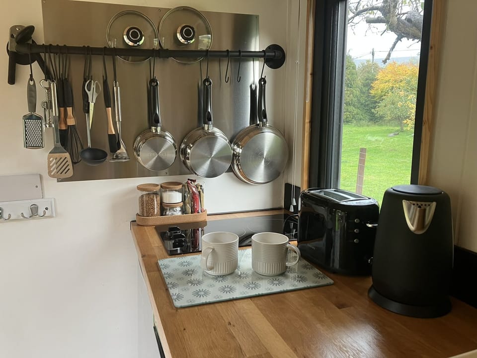 Cabin | Private kitchen | Fridge, microwave, oven, stovetop
