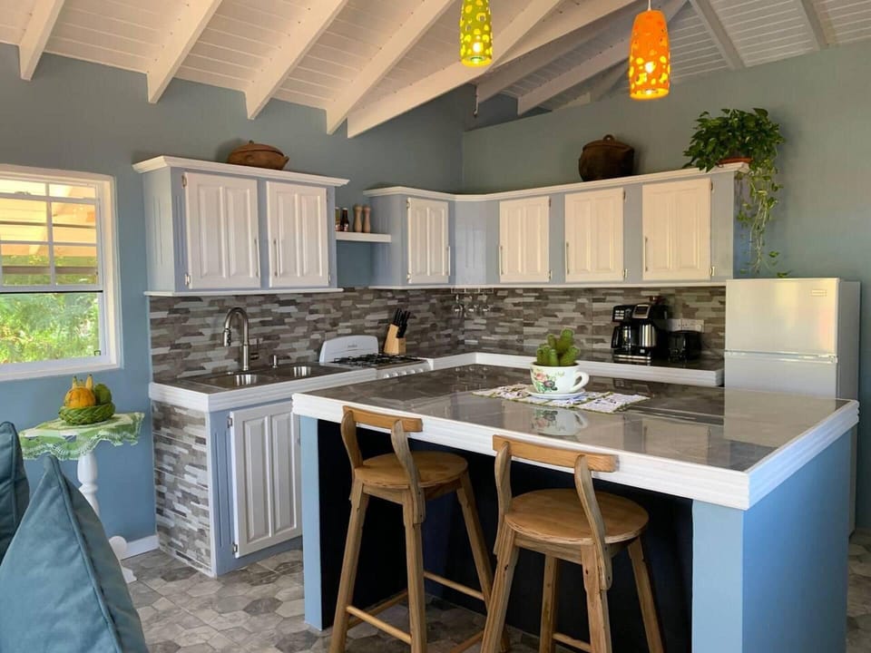 Villa | Private kitchen | Fridge, microwave, oven, stovetop