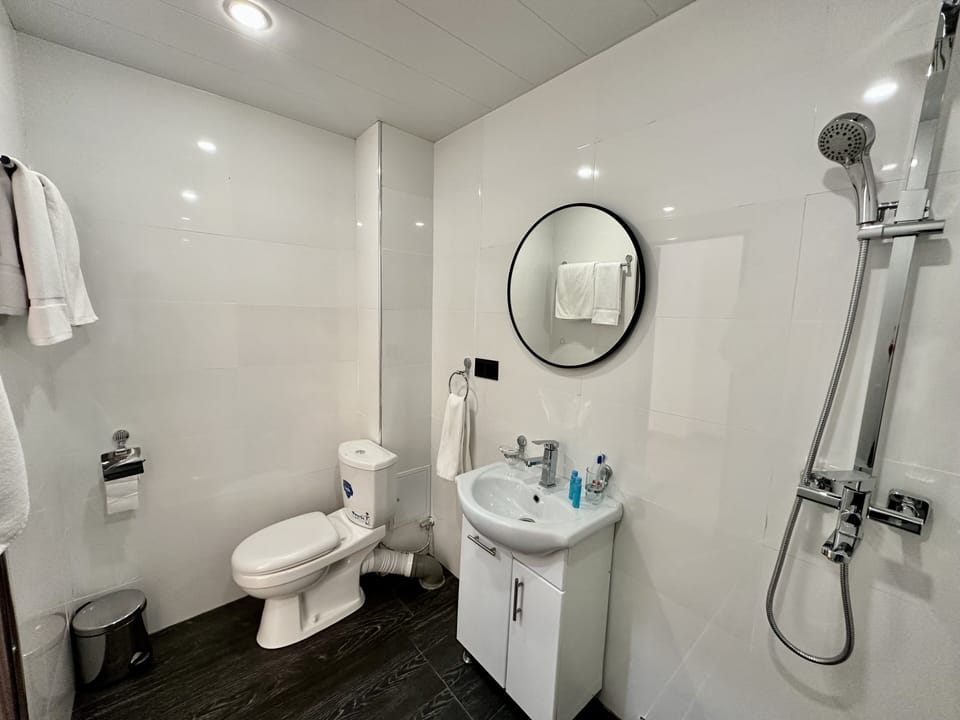 Rainfall showerhead, hair dryer, slippers, bidet