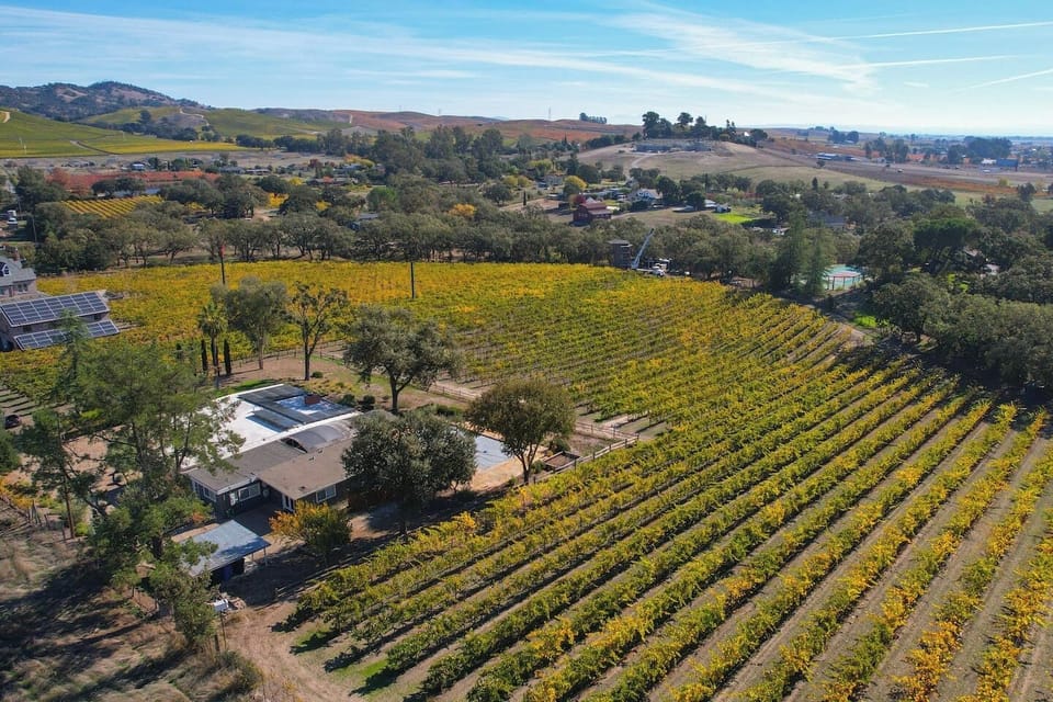 Jaw-dropping aerial of Chardonnay View nestled among endless rows of golden autumn vines, a true wine country gem surrounded by the most spectacular Sonoma landscape.