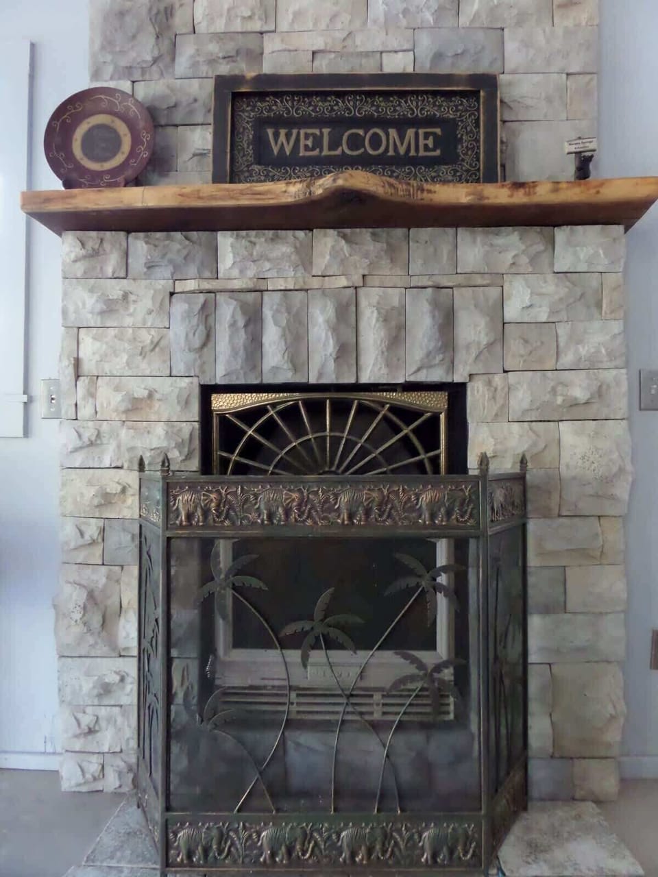 Wood Stove Insert Fireplace