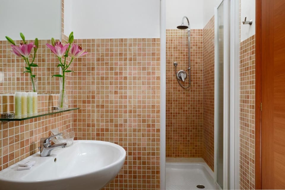 Shower, free toiletries, hair dryer