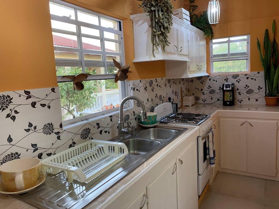 Villa | Private kitchen | Fridge, microwave, oven, stovetop