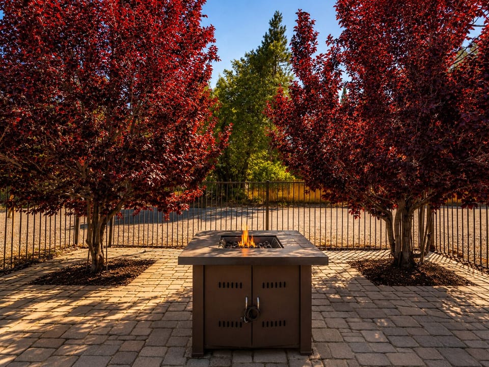 Front yard