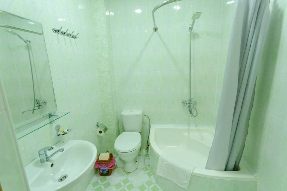 Basic Room | Bathroom | Free toiletries, hair dryer, slippers