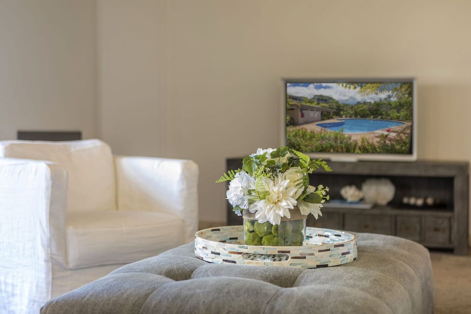 TV in the Living Room!
