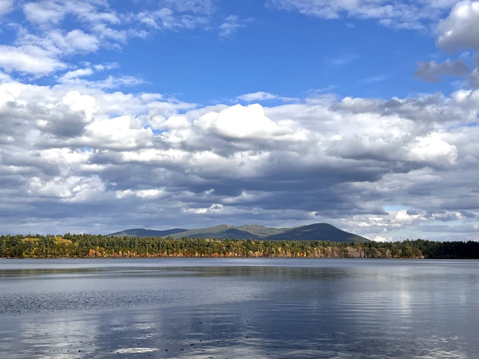 Lake view from house
