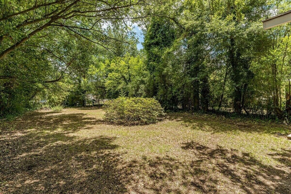 Back yard 