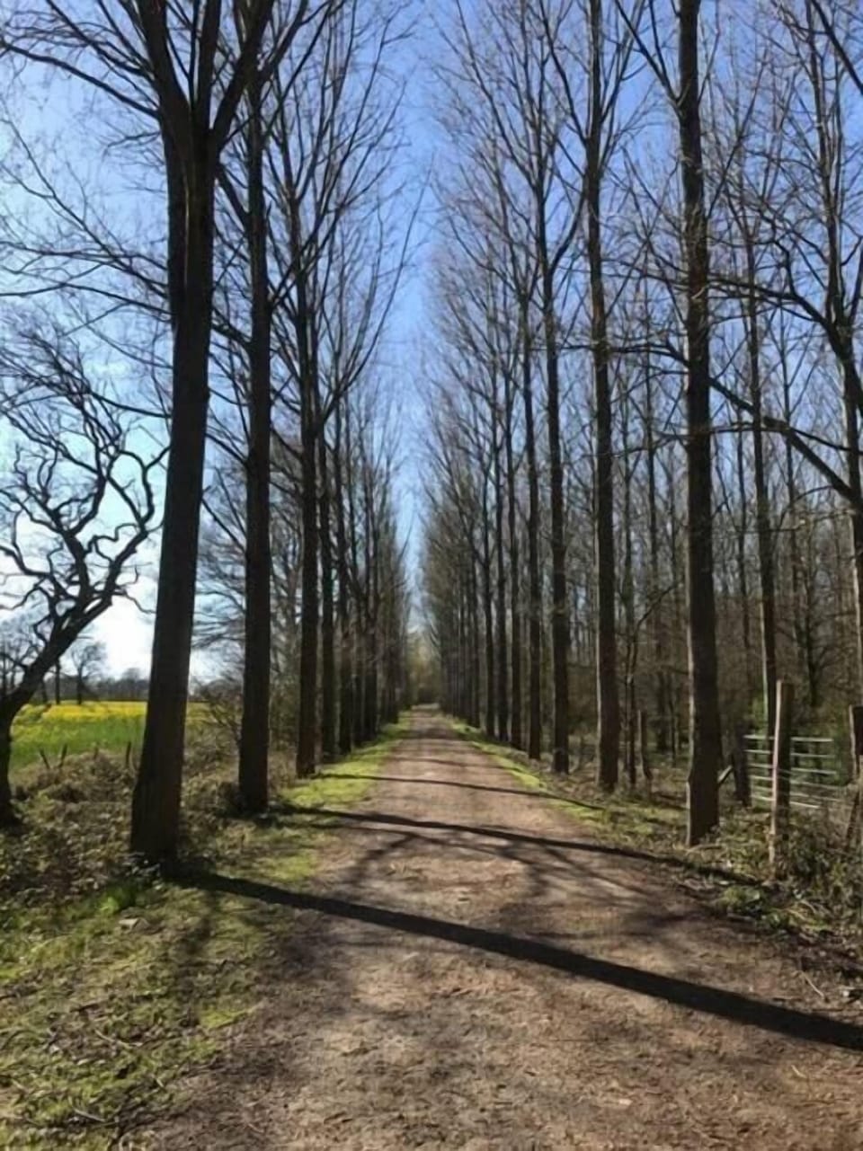 Nearby Walks 