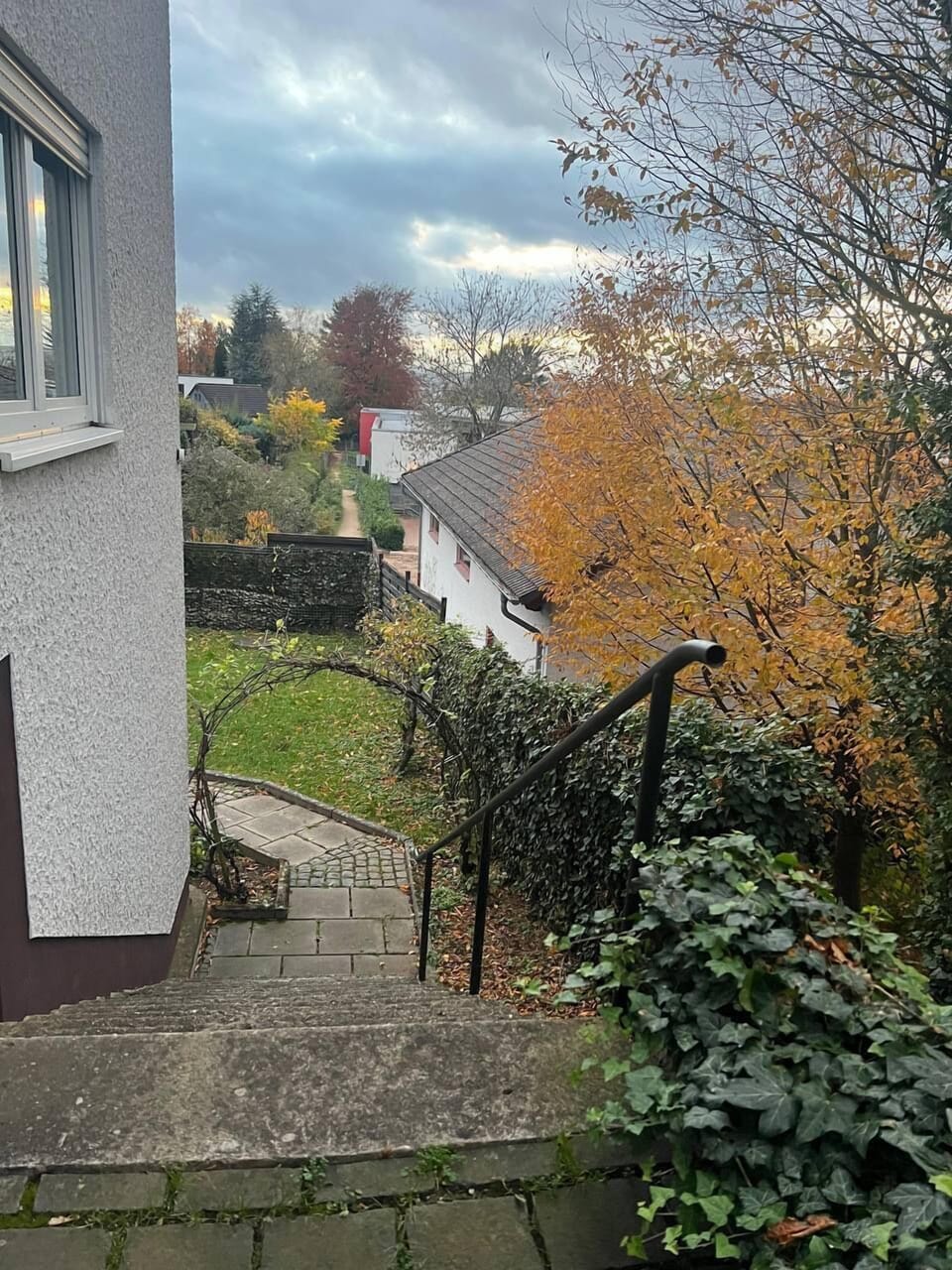 Image 8