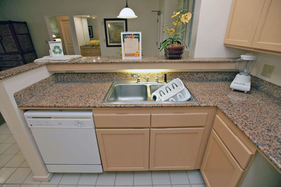 Dishwasher, Sink and Drying Rack