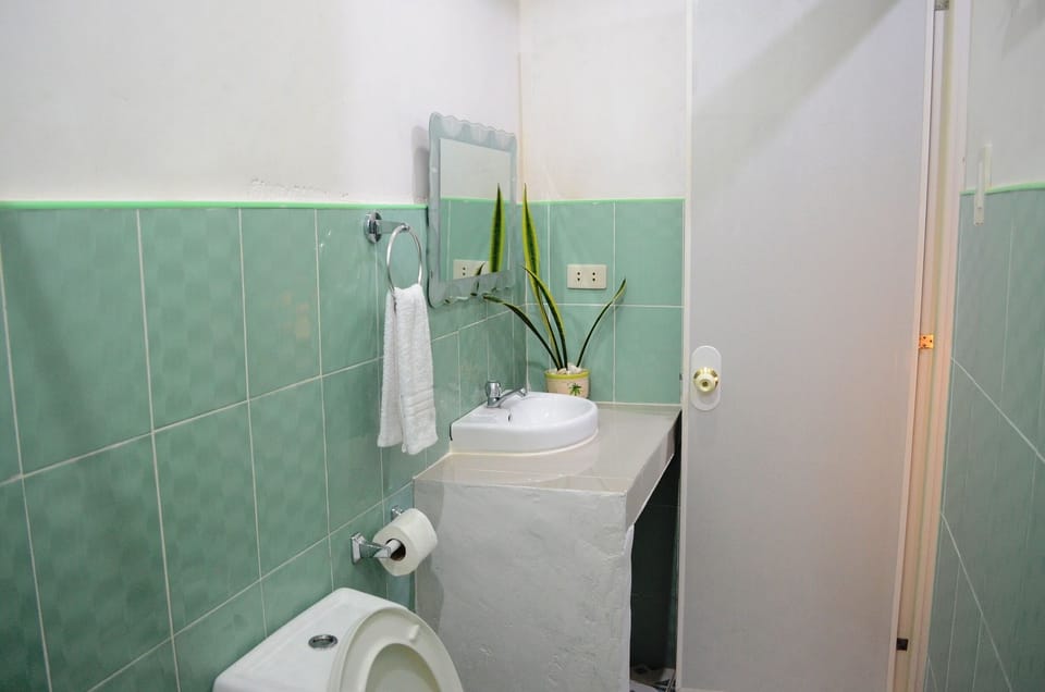 Shower, rainfall showerhead, bidet, towels