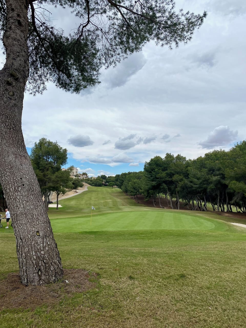 18th Green at the excellent Las Ramblas Golf Course