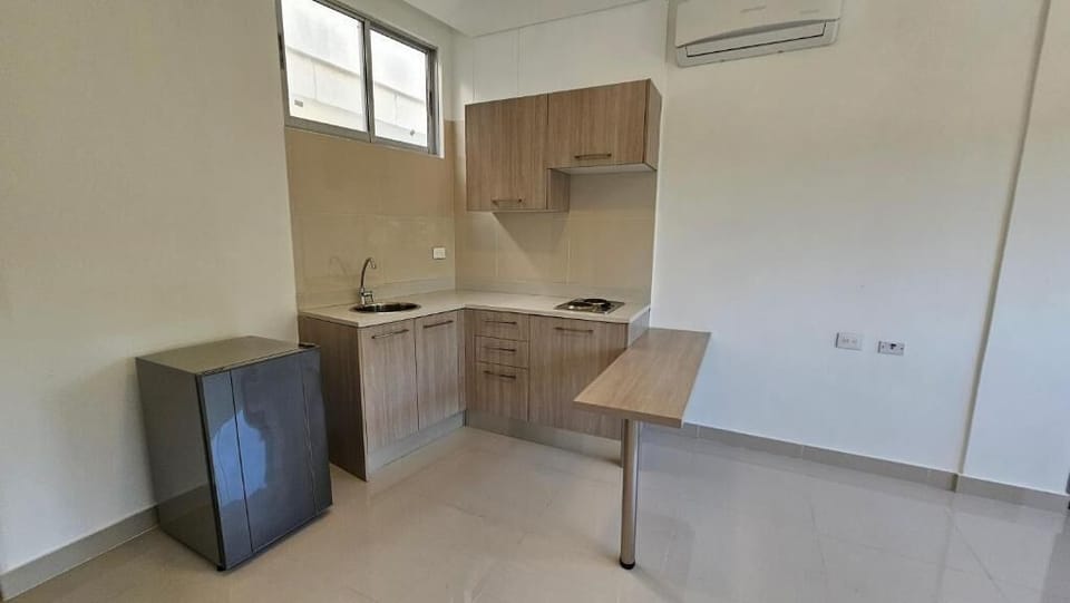 Standard Apartment | Private kitchen