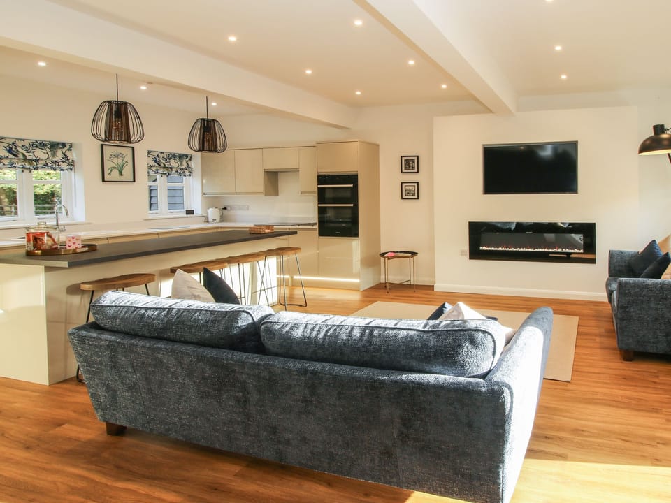 Flat-screen TV, fireplace