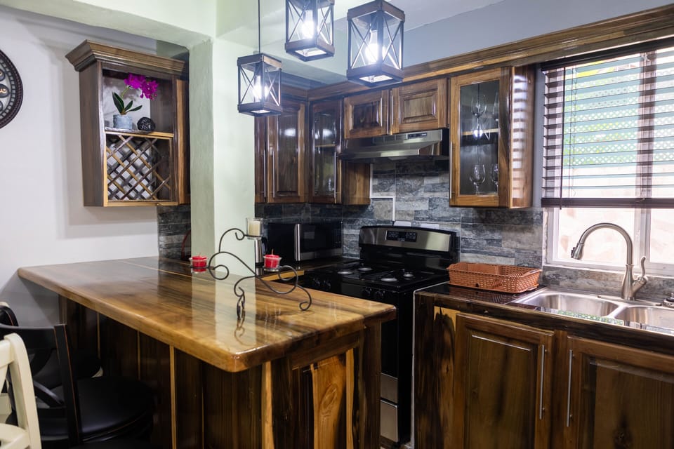 Full-size fridge, microwave, oven, stovetop