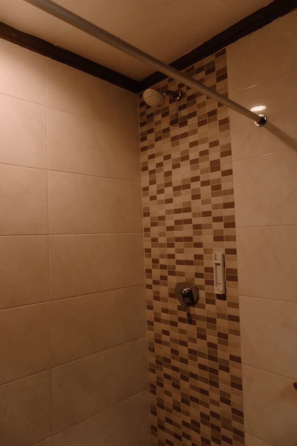Shower, rainfall showerhead, hair dryer, bathrobes