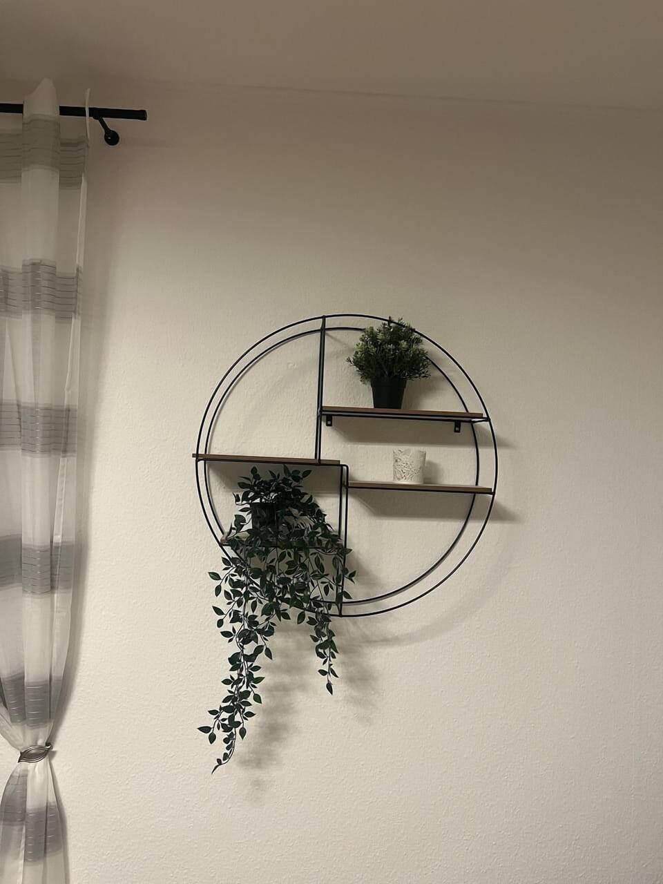 Image 19