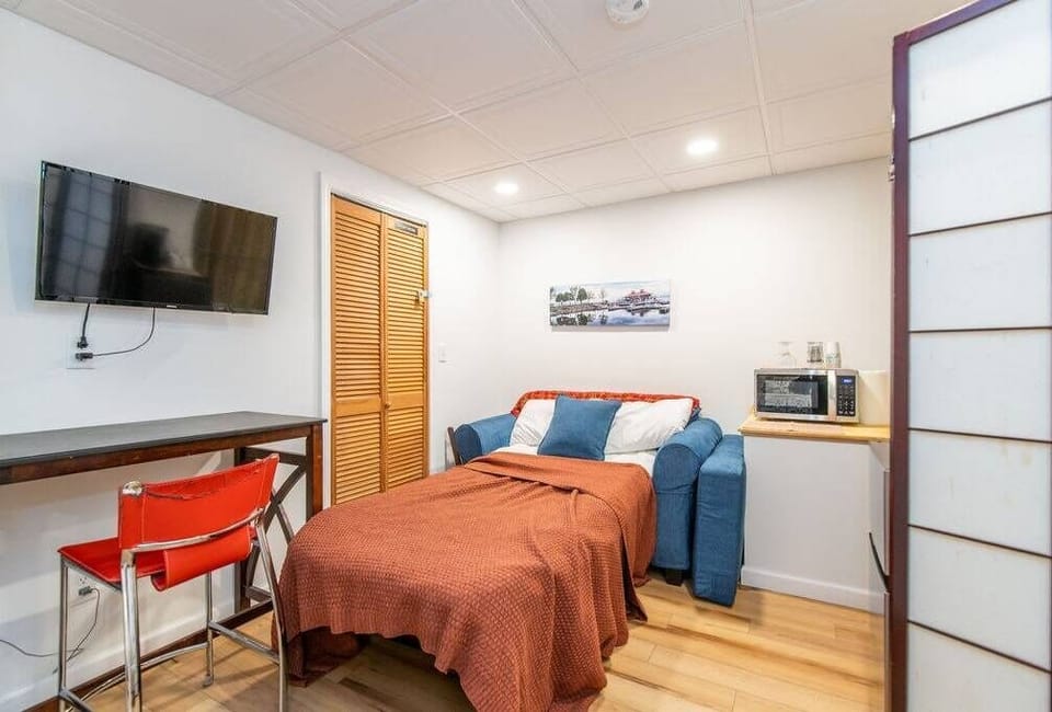 comfortable sofa that converts to a small, but functional single sized bed for extra guests.