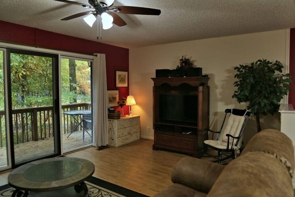TV in Living Room