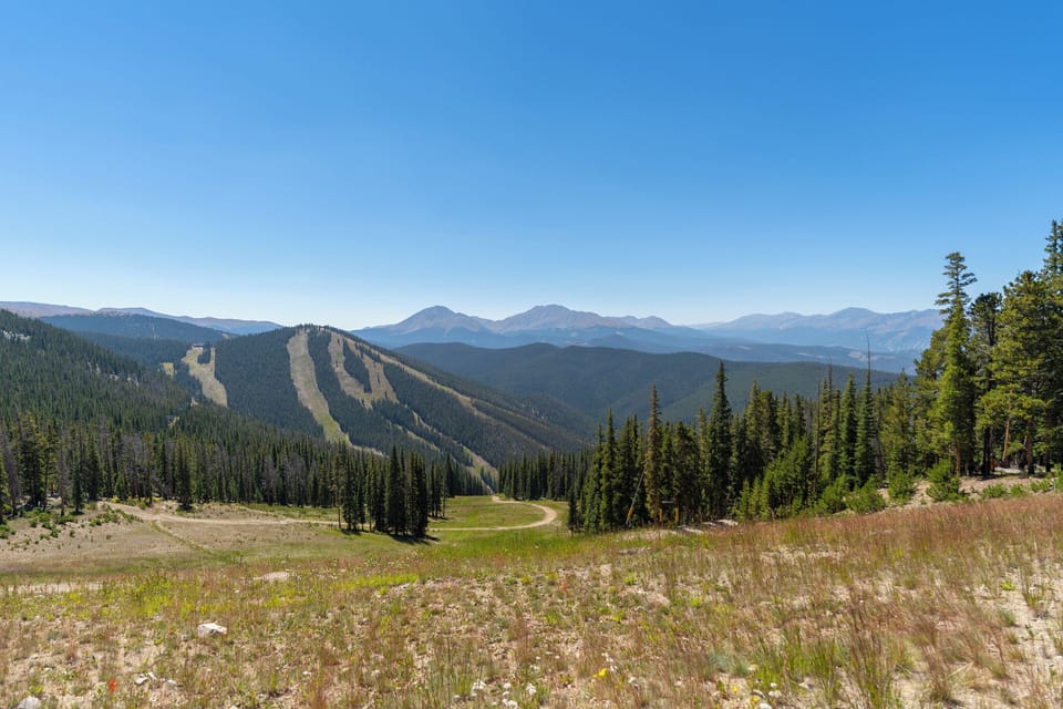The property sits in a mountain area with forested ski slopes nearby and expansive peaks beyond, offering seasonal alpine recreation and natural scenery accessible from the location.
