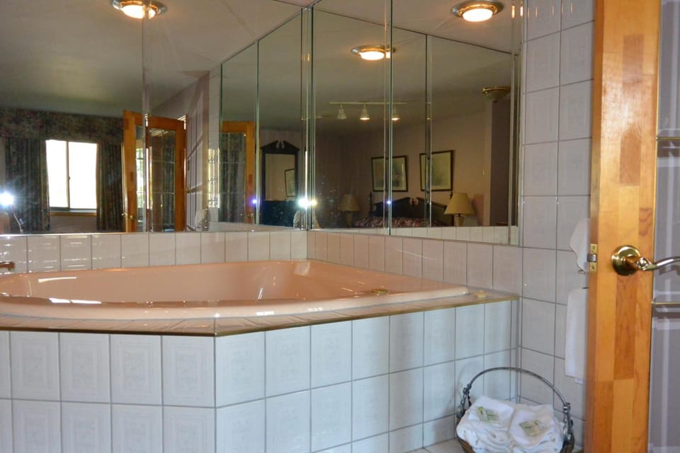 Combined shower/tub, free toiletries, hair dryer, towels