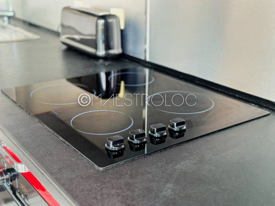 Classic Apartment | Private kitchen | Fridge, microwave, oven, stovetop