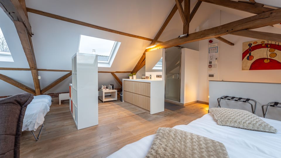 Superior Double Room | Bathroom | Free toiletries, hair dryer, bathrobes