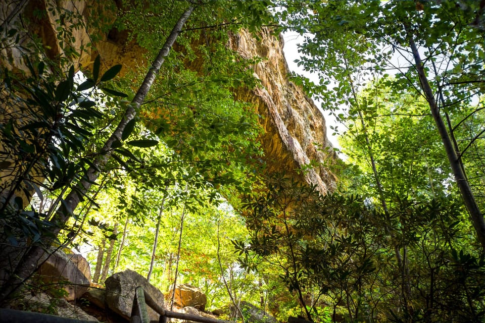 in the Gorge