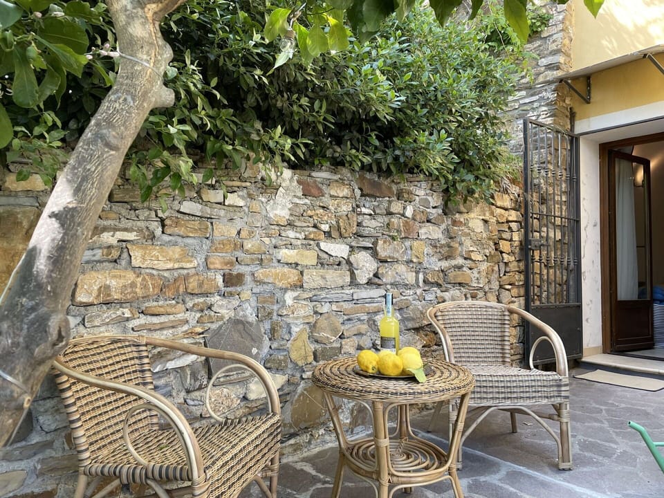 Table, Furniture, Plant, Chair, Outdoor Table, Wood, Building, Outdoor Furniture, Interior Design, Yellow