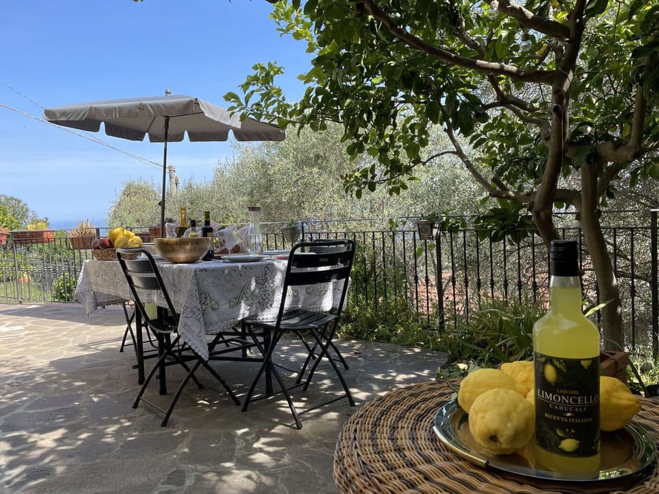 Table, Plant, Furniture, Property, Chair, Tree, Outdoor Furniture, Outdoor Table, Sky, Shade