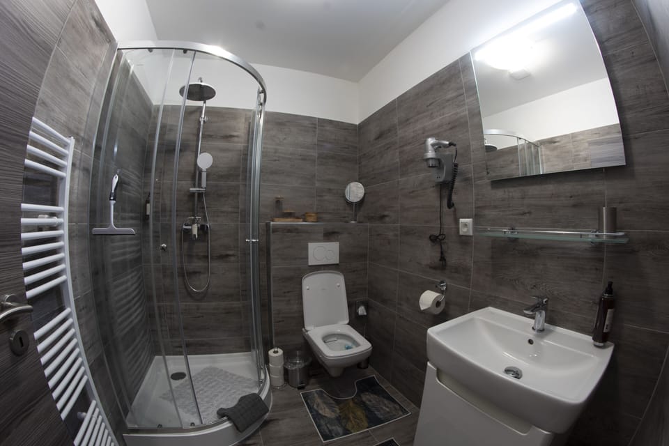 Business Room | Bathroom | Shower, hair dryer, slippers, towels