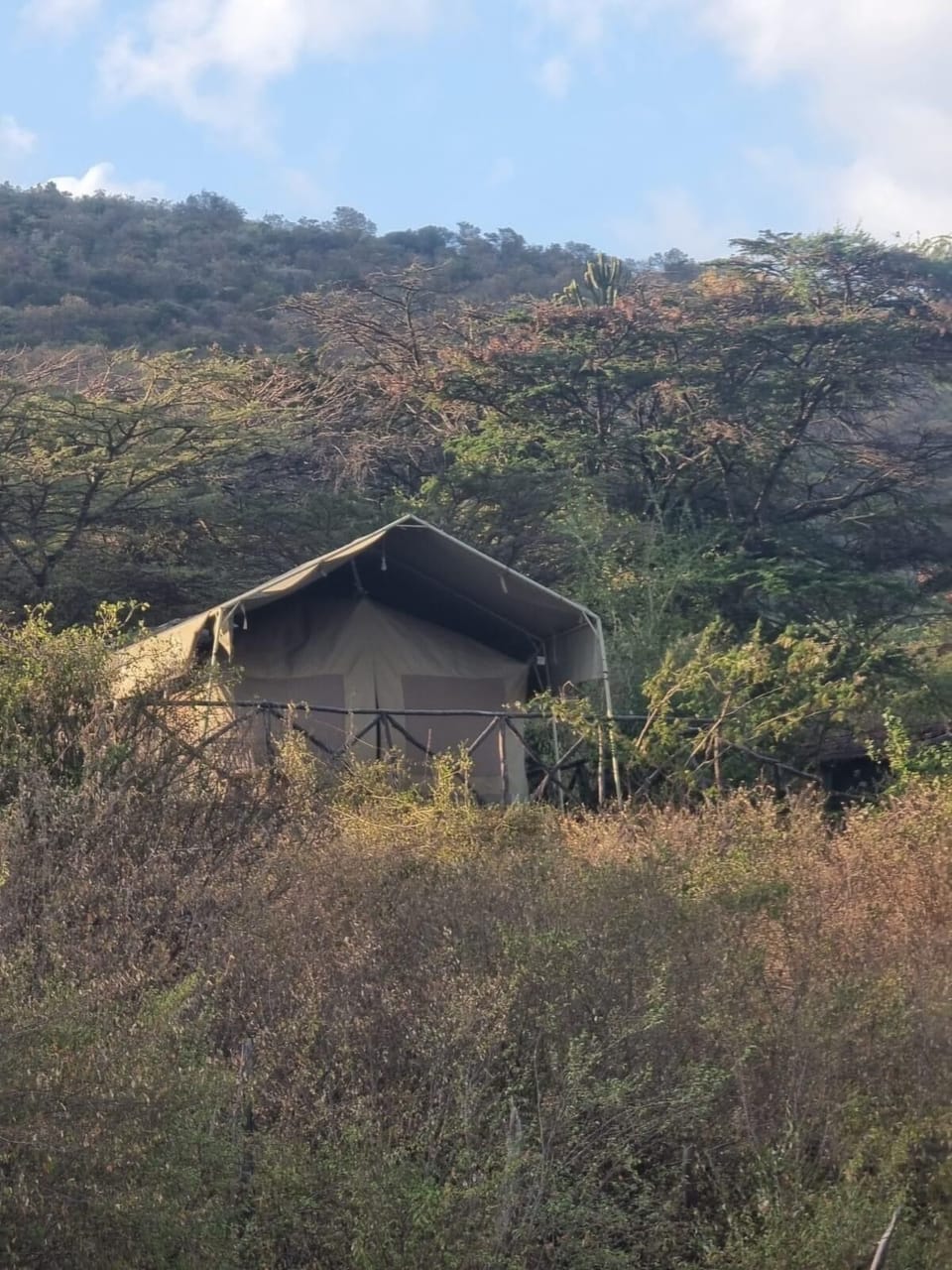 Deluxe Tent, 1 Bedroom, Valley View, Mountainside | 1 bedroom, premium bedding, down comforters, pillowtop beds