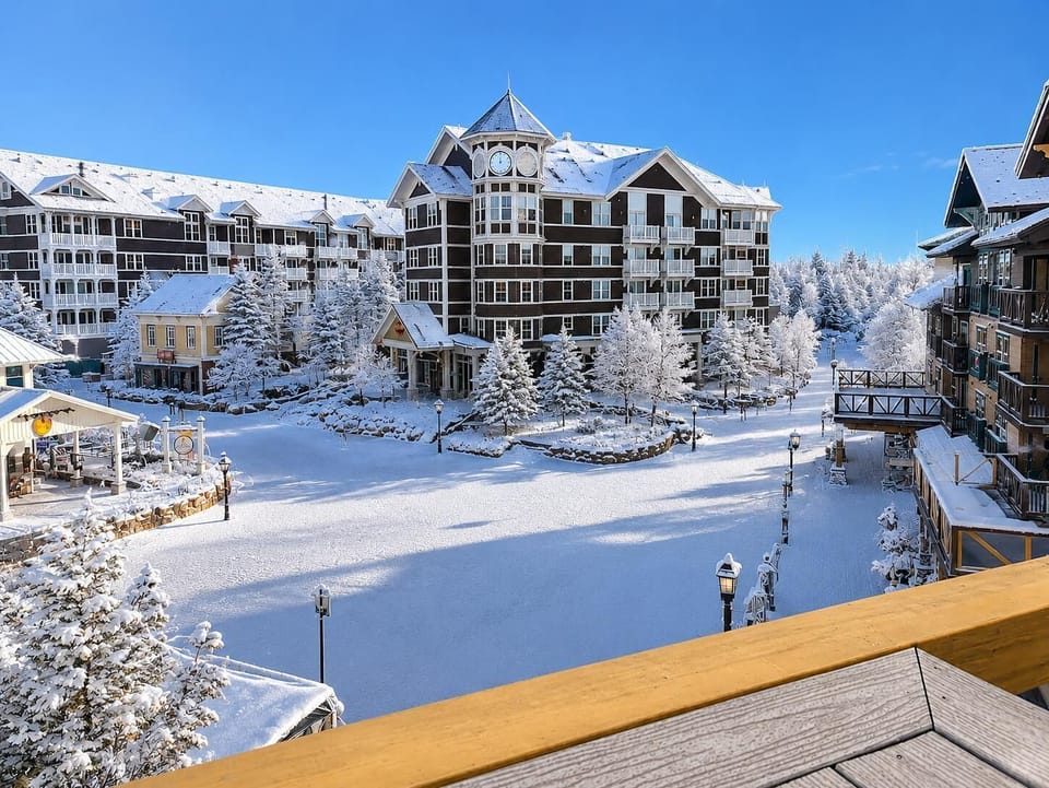 Winter views.