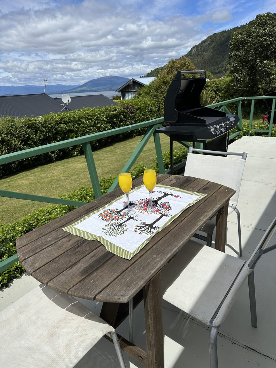 Outdoor dining with BBQ and view