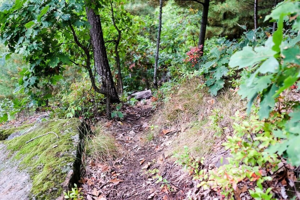 One of the Hiking Paths on Fairy Bluff